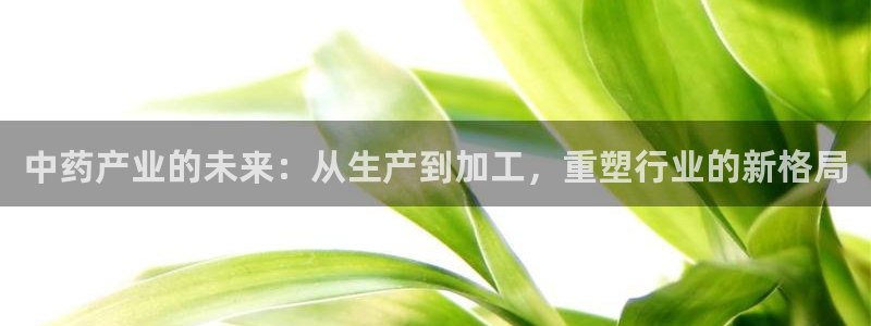 彩名堂官网客户端