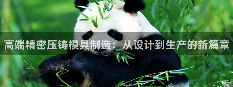 彩名堂一直不出结果怎么回事儿
