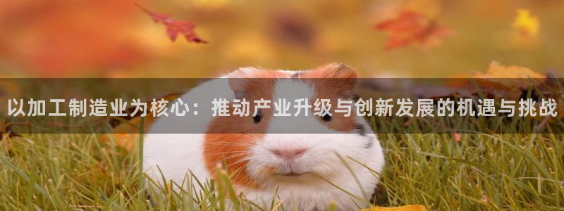 彩名堂5.0版计划怎么用不了