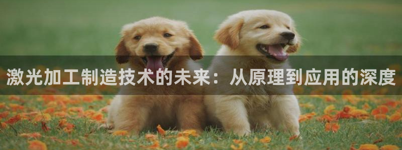 彩名堂怎么打最稳