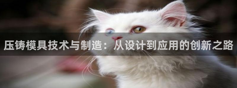 彩名堂app下载5.1.0