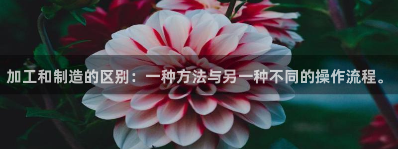 彩名堂app彩名堂客户端