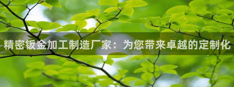 彩名堂人工计划客户端