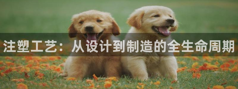彩名堂一直不出结果怎么回事呀