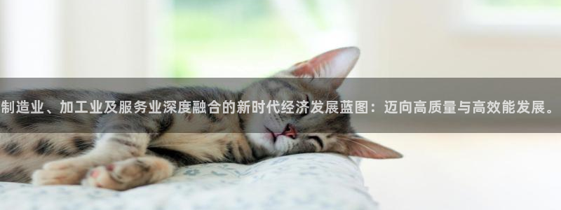 彩名堂最新计划下载地址