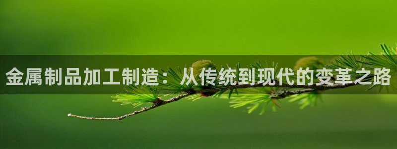 彩名堂50版本计划