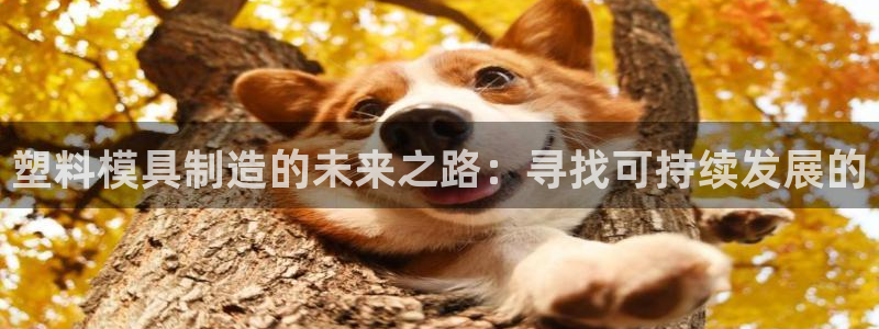 彩名堂预测软件与分析软件区别