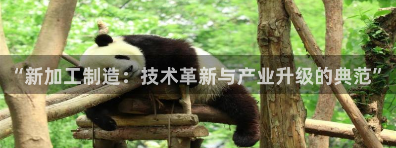 彩名堂怎么跟计划才不连挂呢