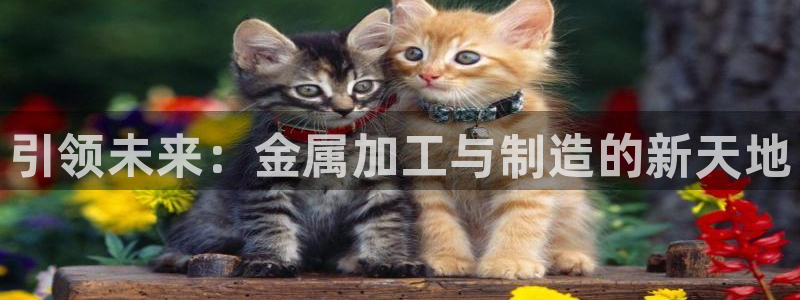 彩名堂一直不出结果怎么回事呀