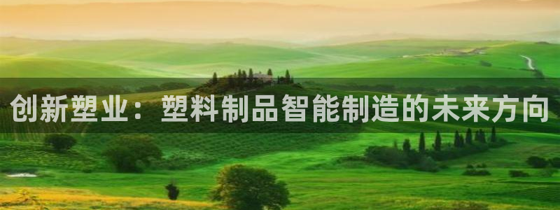 彩名堂人工计划怎么找不到下载了?