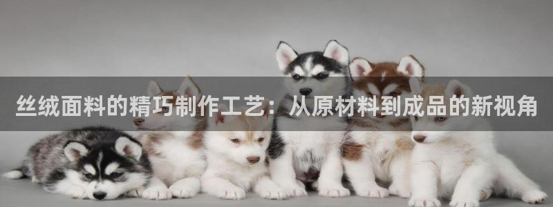 下载彩名堂预测计划软件安卓