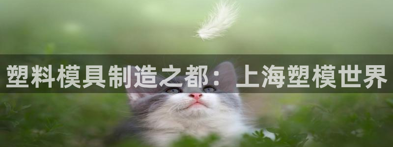 彩名堂苹果版怎么不能用了