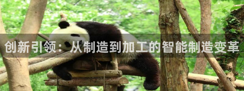 彩名堂最新免费计划官网