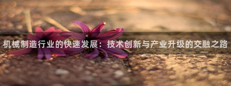 彩名堂在线下载