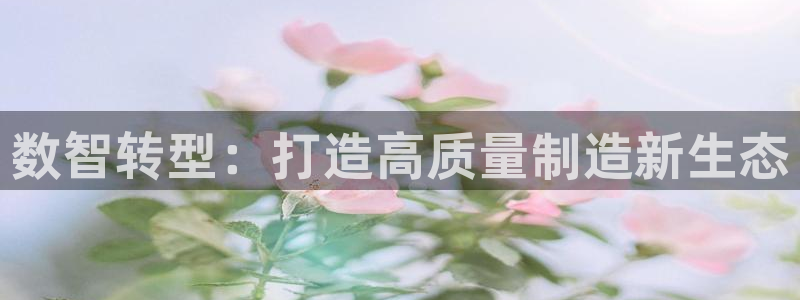彩名堂跟哪种最好用