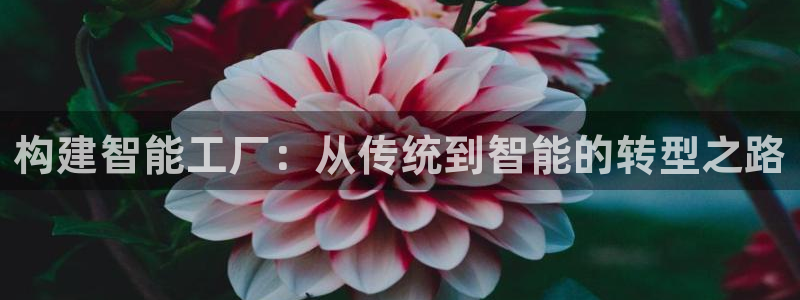 彩名堂计划怎么打不开了