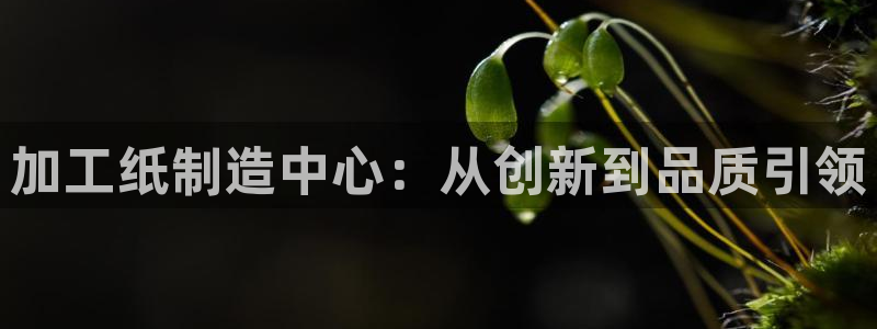 彩名堂5.0版计划怎么用不了