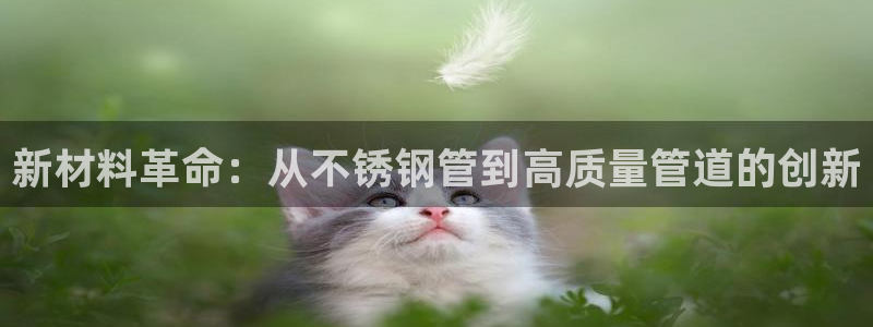 彩名堂官网谁有