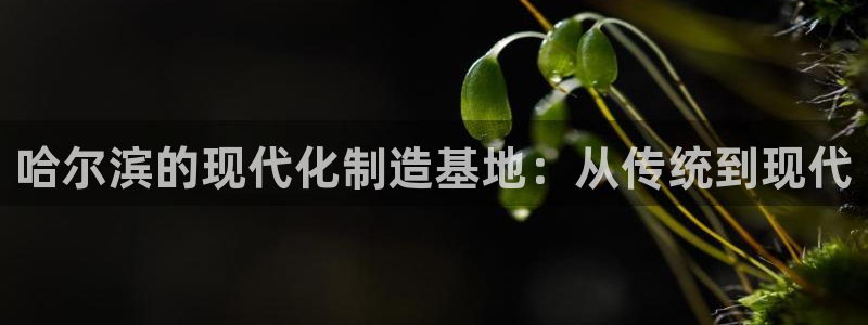 彩名堂.netnet