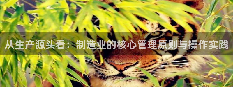 彩名堂安卓客户端官网下载安装
