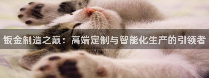 彩名堂是正规的公司吗