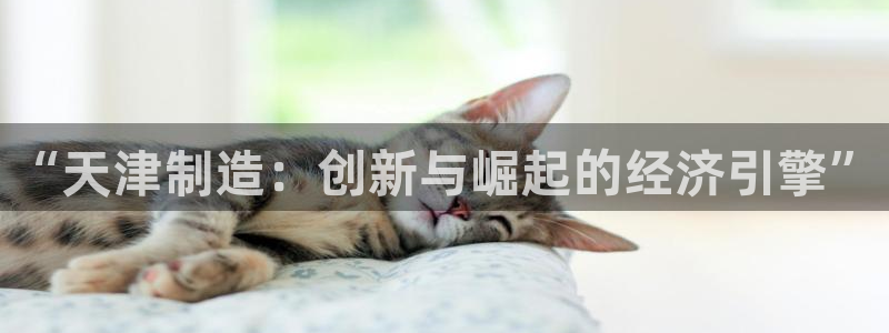 彩名堂平台
