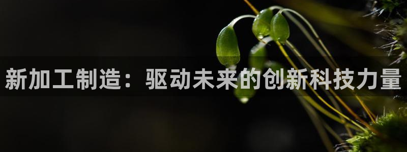 彩名堂下载官网