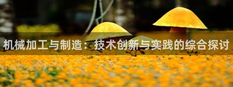 彩名堂为什么打不开