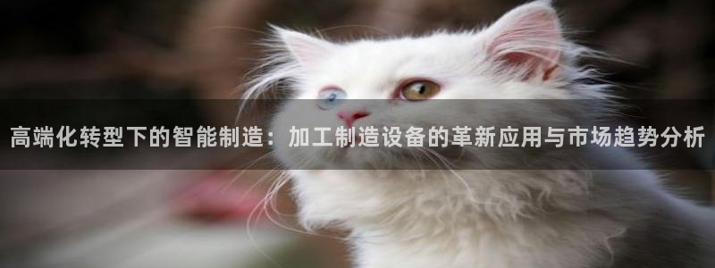 彩名堂为啥不准了乱变