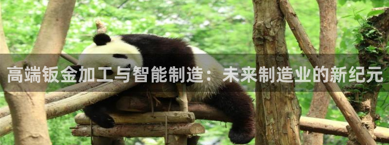 彩名堂预测官网