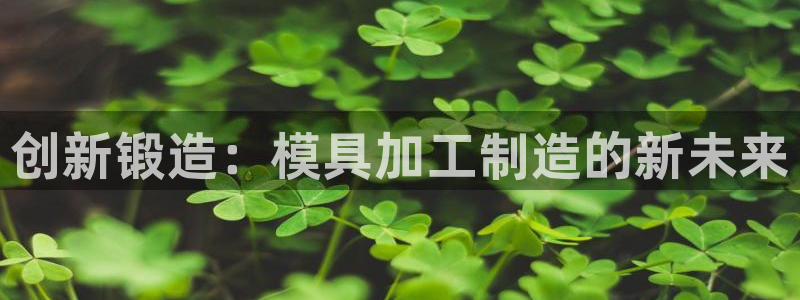彩名堂双彩网