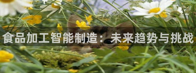 彩名堂使用方法和用量