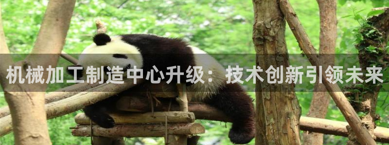 彩名堂是正规的公司吗