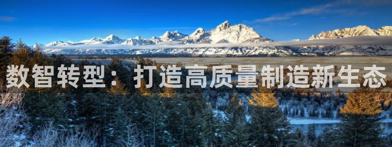 彩名堂计划技巧有哪些