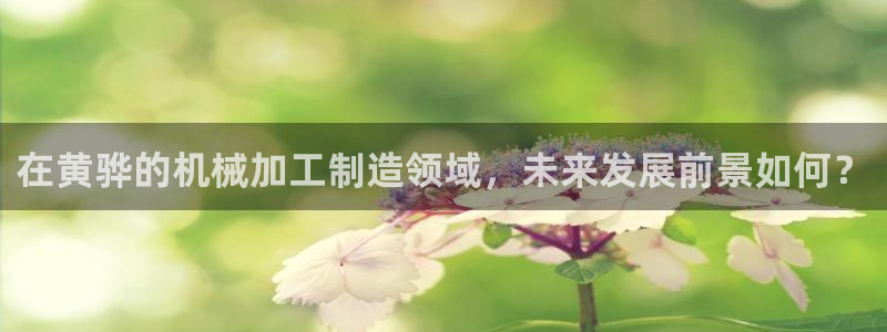 彩名堂app官方网址是多少
