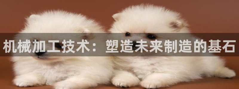 彩名堂预测软件