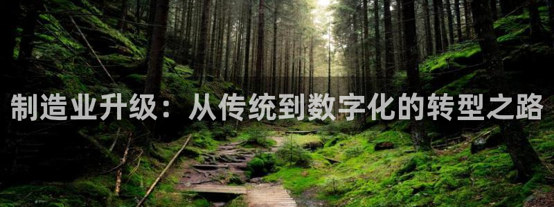 彩名堂免费计划下载