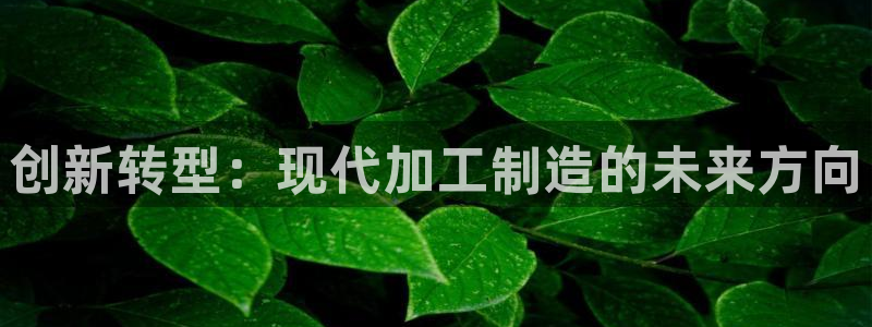 老版彩名堂