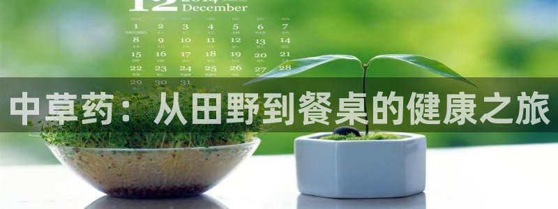 彩名堂免费计划下载