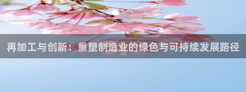 彩名堂预测计划